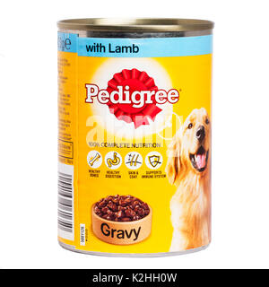 Eine Dose Pedigree Hundefutter auf weißem Hintergrund Stockfoto