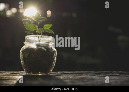 Münzen in Glas und Münzen mit der Stack für wachsende Unternehmen und der Jahreszeit. Stockfoto