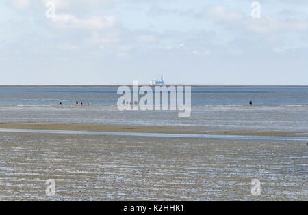 Küstenlandschaft um Buesum in Dithmarschen in Schleswig-Holstein, Deutschland Stockfoto