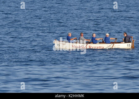 Shaldon Regatta 2017 seine Yacht Racing Stockfoto