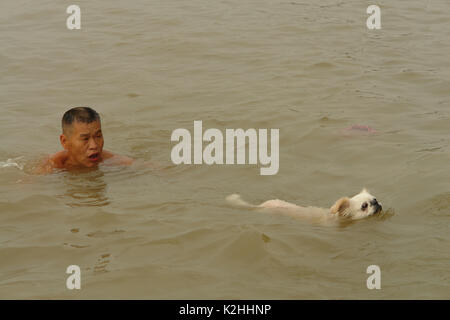 Jangtse Fluss Swimming Club Stockfoto
