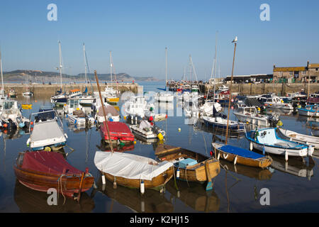 Lyme Regis, antike Stadt im Domesday Book empfohlene, mit historischen Cobb und Hafen Wahrzeichen an der Grenze Dorset-Devon, South West England, Großbritannien Stockfoto