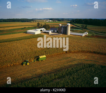Luftaufnahme der MILCHVIEHBETRIEB MIT LANDWIRT Zerkleinern von MAISSILAGE, LANCASTER PENNSYLVANIA Stockfoto