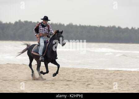 SONGKHLA THAILAND - 18. Februar: Unbekannt cowboy Show am Strand galoppiert das Pferd am 18. Februar 2017 in Songkhla, Thailand. Stockfoto