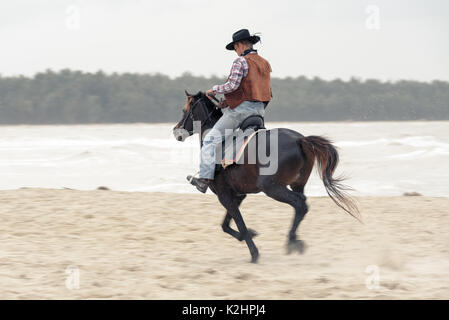 SONGKHLA THAILAND - 18. Februar: Unbekannt cowboy Show am Strand galoppiert das Pferd am 18. Februar 2017 in Songkhla, Thailand. Stockfoto