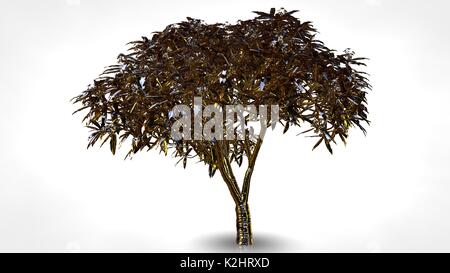3D-Rendering von einer abstrakten reflektierende Golden Tree auf weißem Hintergrund Stockfoto