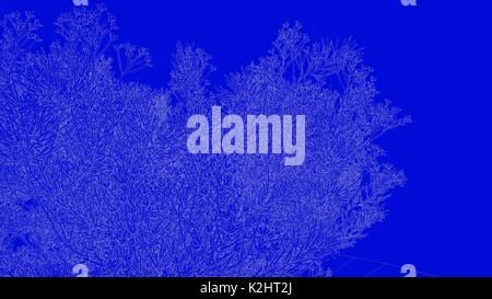 3D-Rendering von einer weißen umrissen Baum auf einem blauen Hintergrund Stockfoto