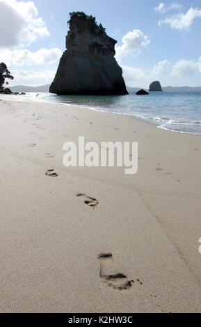 Cathedral Cove Coromandel Halbinsel Neuseeland Stockfoto