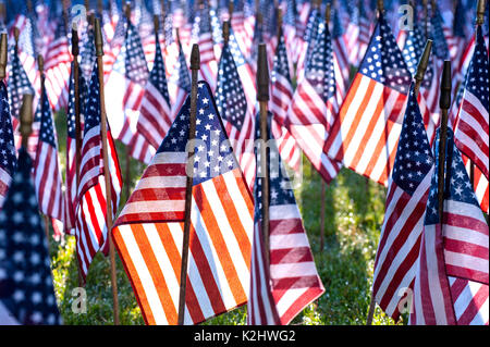 Bereich der Flags Denkmal zu Ehren uns Irak Krieg tot. Stockfoto