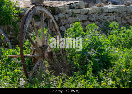 Ein altes Wagenrad zu verrotten und Rost in der maltesischen Landschaft links, die von der Vegetation überwuchert. Stockfoto