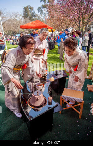Traditionell japanische Frauen in Kimonos gekleideten demonstrieren die Omotesenkei Tee Zeremonie in Huntington Beach, CA. Diese aufwändige und raffinierte Japanische Tee Zeremonie soll Respekt durch die Gnade und die Etikette zu demonstrieren. Hinweis Bambus Tee Haus wall. Stockfoto