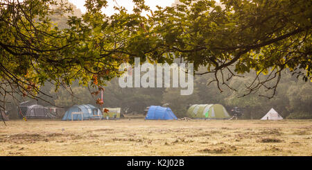 New Forest Camping Stockfoto