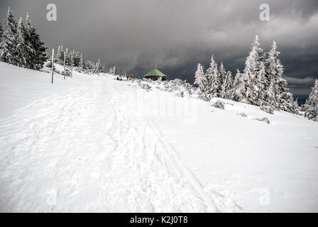 Winter auf Jeleni studanka in Gesenke in der Tschechischen Republik mit Schnee, Tress, Hütte aus Stein und Wolken Stockfoto