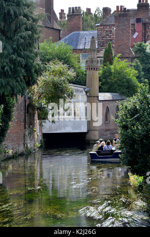 Bootsfahrer auf dem Fluss Great Stour wie es läuft durch Canterbury in Kent Stockfoto