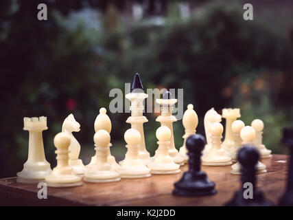 Schach Natur an einem Sommertag Stockfoto