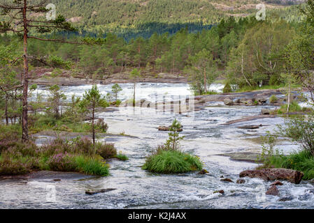 Fließende Fluss in Nadelwald. Lage Syrtveitfossane in Valdres, Norwegen. Stockfoto