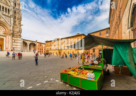 Obst stand unter Touristen in Square von Siena vor der Kathedrale unter der Sonne der Toskana in Italien Stockfoto