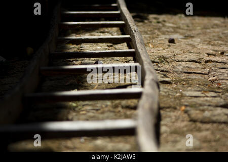 Alte Holzleiter Stockfoto