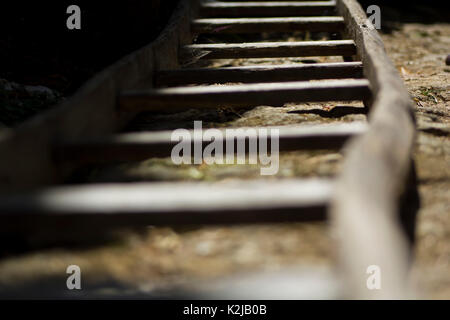 Alte Holzleiter Stockfoto