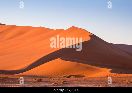 Klettern Big Daddy Düne in der Namib Wüste, Sossusvlei. Sanddünen bei Sonnenaufgang, Namibia, Afrika Stockfoto