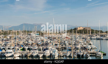 Superyachten am Port Vauban in Antibes, Frankreich mit Fort Carré im Hintergrund Stockfoto