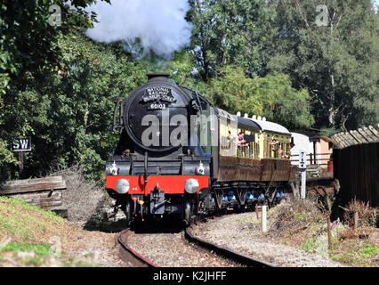 Dampflok und Waggons dampfenden entlang RailwayTracks in England Stockfoto