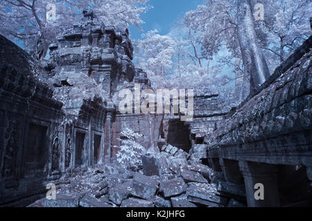 Ta Prohm schloss erstaunliche Banyan Tree Wurzeln siem reap Kambodscha Stockfoto