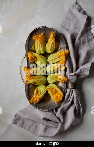 Zucchini/Kürbis Blumen/Blüten essbar Stockfoto