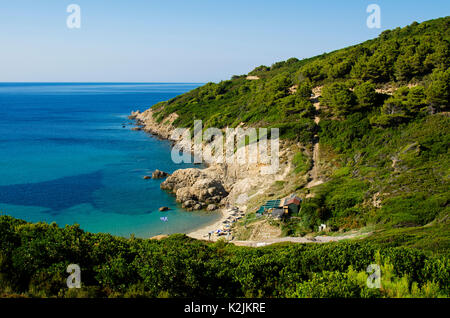 Blick von oben auf den Strand von Krifi Ammos auf der Insel Skiathos Griechenland, das Meer ist grün und türkis von reicher Vegetation Stockfoto