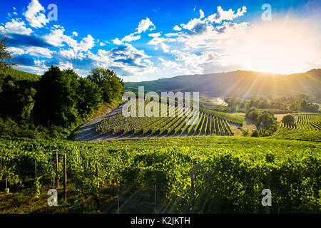 Spektakulären Sonnenuntergang über der grünen Weinberge der Langhe im Piemont, der blaue Himmel ist voller suggestiver Wolken Stockfoto