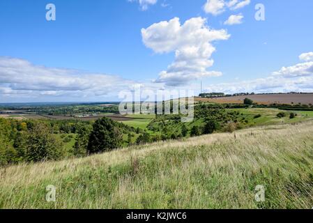 Weiße Hügel in der Nähe von kingsclere Hampshire UK Stockfoto