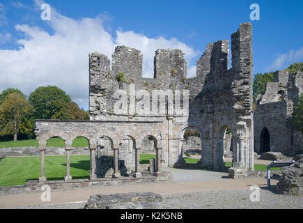 Mellifont Abbey in der Grafschaft Louth, Irland. Stockfoto