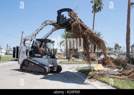 Port Aransas, Texas, USA. August 2017. Der Schaden durch den Hurrikan Harveys Treffer vor fast einer Woche übersät die texanische Küstenstadt Port Aransas, da die Bewohner das Wrack untersuchen dürfen. Dieser Arbeiter verwendet einen Bobcat, um Sturmschutt zu beseitigen. Kredit: Bob Daemmrich/Alamy Live Nachrichten Stockfoto