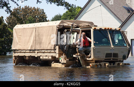 Houston, USA. 31. August 2017: Texas National Guard Soldaten Suche für die Bewohner in überfluteten Wohnungen von der Überschwemmung durch den Hurrikan Harvey in Houston, TX. John Glaser/CSM./Alamy leben Nachrichten Stockfoto