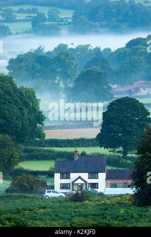 Flintshire, Wales am 1. September 2017. UK Wetter. Mit der meteorologischen stat bis Herbst ab heute Mutter Natur Lassen Sie sich von Teilen des Vereinigten Königreichs Wissen mit einem kühlen Start- und Nebel über viele Teile einschließlich dieses Bauernhaus in ländlichen Rhes-y-Cae, Flintshire © DGDImages/Alamy leben Nachrichten Stockfoto