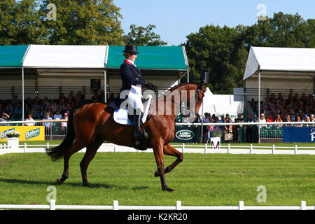 Stamford, Großbritannien. 01 Sep, 2017. Zara Tindall Fahrten, hoch Königreich während ihrer Dressur Bühne im Land Rover Burghley Horse Trials an Tag zwei der 3-tägigen Veranstaltung in Burghley House in Stamford, Lincolnshire am 1. September 2017. Credit: Paul Marriott/Alamy leben Nachrichten Stockfoto