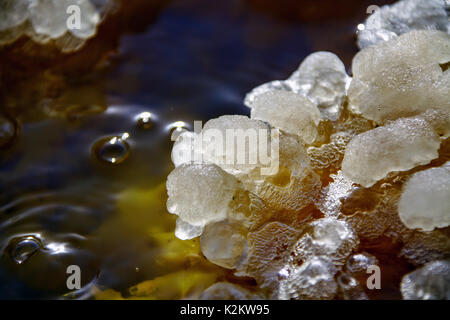 Dallol Vulkans Danakil depression Äthiopien Stockfoto