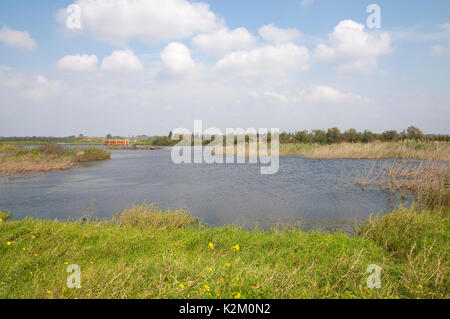 Wilde Natur, Agamon Emek Hefer Stockfoto