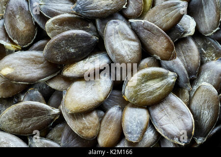 In der Nähe Bild von Kürbissamen, geringe Tiefenschärfe. Stockfoto