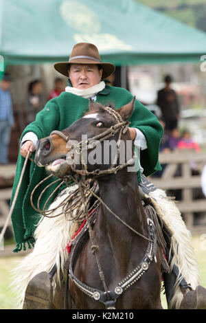 Juni 3, 2017 Machachi, Ecuador: Nahaufnahme von Andinen Cowboy zu Pferd gekleidet traditionell Holding leder Lasso auf dem Pferderücken Stockfoto