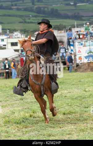 Juni 3, 2017 Machachi, Ecuador: Nahaufnahme von Andinen Cowboy zu Pferd traditionell auf dem Pferd arbeiten in Feld angezogen Stockfoto