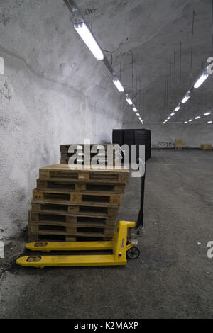 Der Global Seed Vault in Longyearbyen, Svalbard. Eine der drei Tresorräume. Stockfoto