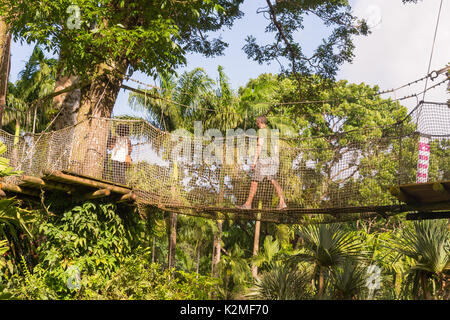 Suspension Fußgängerbrücke in Balata Botanischer Gärten in Martinique Stockfoto