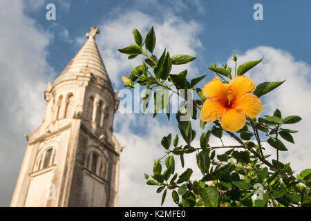 Hibiskus orange Blume vor balata Kathedrale (Sacré-coeur de Balata) in Martinique Stockfoto