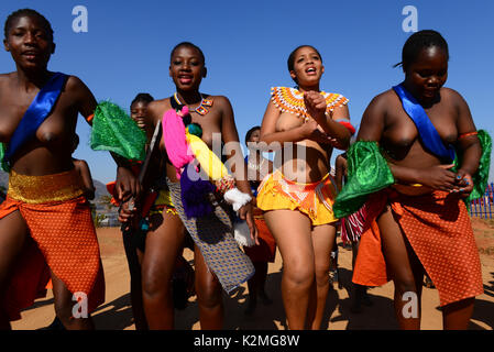 Swasiland Umhlanga Reed Dance Stockfoto