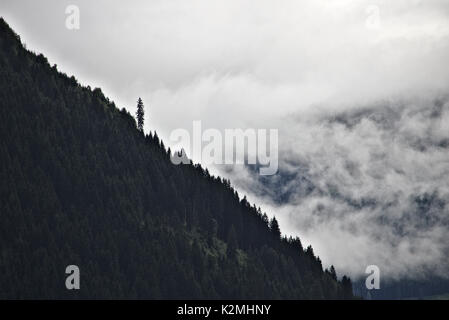 Steilen bewaldeten Bergrücken in den österreichischen Alpen Silhouette gegen den Nebel und Wolken mit einer überstehenden große Kiefer Stockfoto