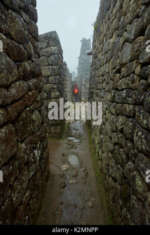 Touristische im Nebel und Regen in Machu Picchu Inka Ruinen aus dem 15. Jahrhundert (Weltkulturerbe), das Heilige Tal, Peru, Südamerika (MR) Stockfoto