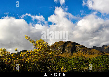 Cajas Nationalpark (Spanisch: Parque Nacional Cajas) im Hochland von Ecuador. Es ist etwa 30 km westlich von Cuenca. Provinz Azuay. Ecua Stockfoto