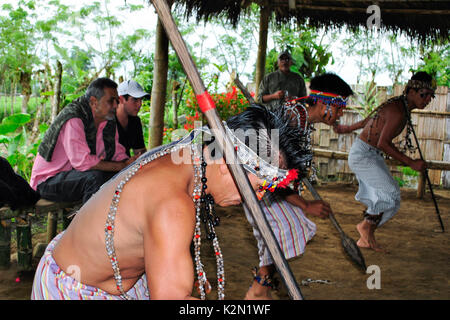 Eine Gruppe von Shuar Männer tanzen. Sie tragen Zubehör aus Samen in seinem Körper. Shuar Gemeinschaft. Bucay. Der proviince Guayas. Ecuador Stockfoto