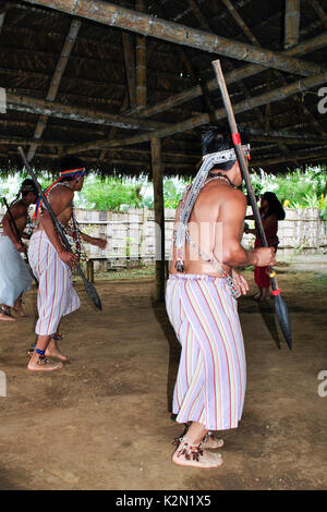 Eine Gruppe von Shuar Männer tanzen. Sie tragen Zubehör aus Samen in seinem Körper. Shuar Gemeinschaft. Bucay. Der proviince Guayas. Ecuador Stockfoto